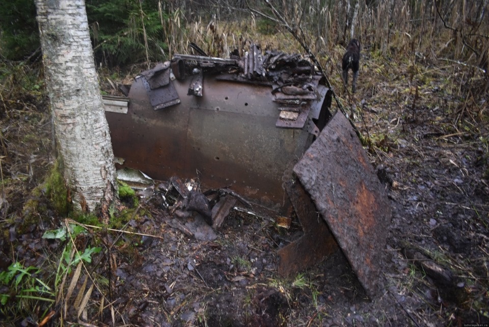 В Гдовском районе обнаружены обломки советского самолёта 
