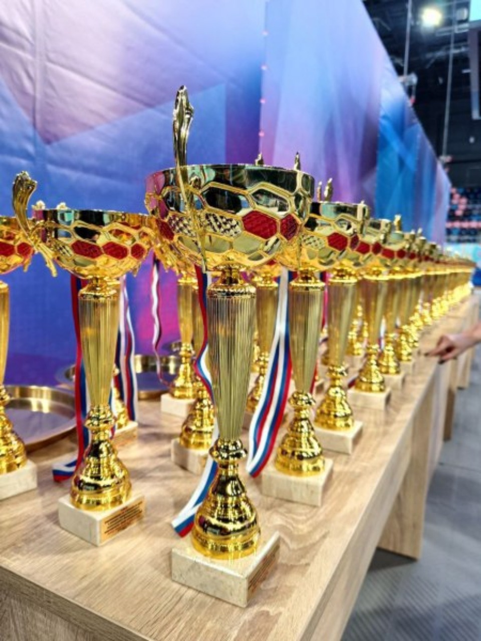 Региональный «Кубок Защитников Отечества» пройдет в Пскове в конце ноября 