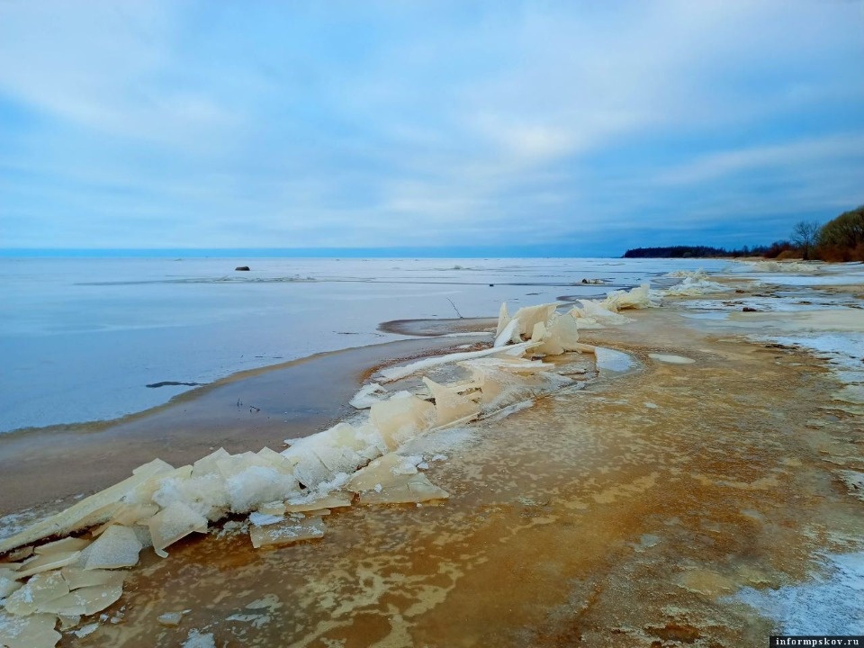 Квоты на вылов рыбы в Псковско-Чудском озере продали за 1,4 млн рублей 