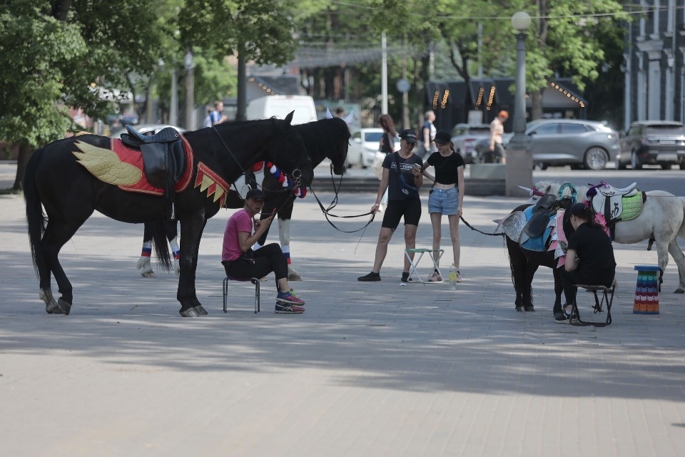 Владелица пони получила 1,5 года условно за неосторожное катание детей в Пскове