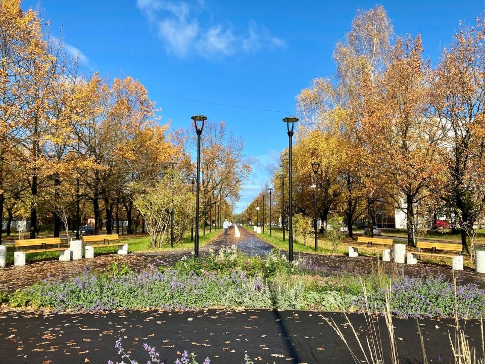 Систему освещения запустили на Сиреневом бульваре в Пскове