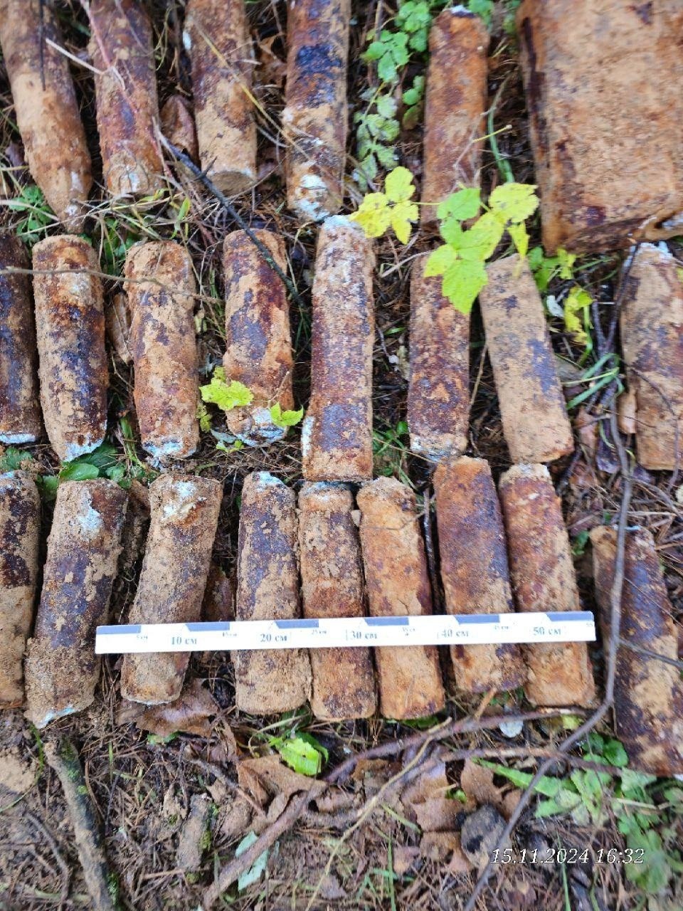 19 выездов совершила аварийно-спасательная служба Псковской области за неделю