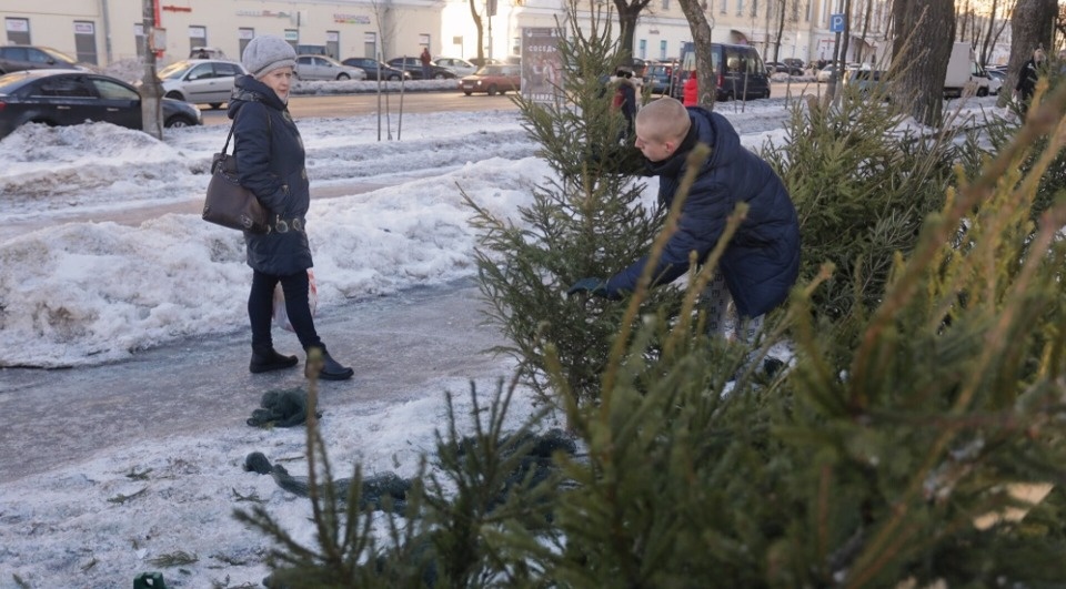 В Пскове определили места для ёлочных базаров