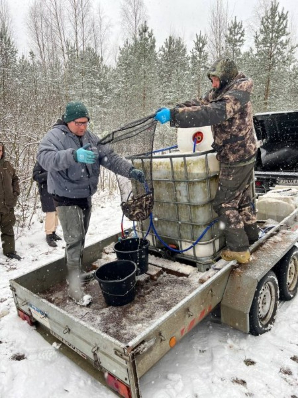 В невельское озеро Ордово выпустили около 5,7 тысяч мальков судака