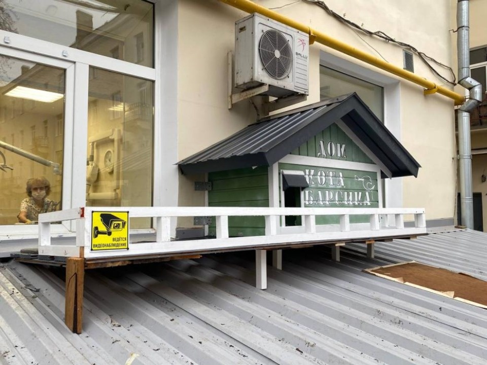 Дом для котов-стоматологов появился в Пскове