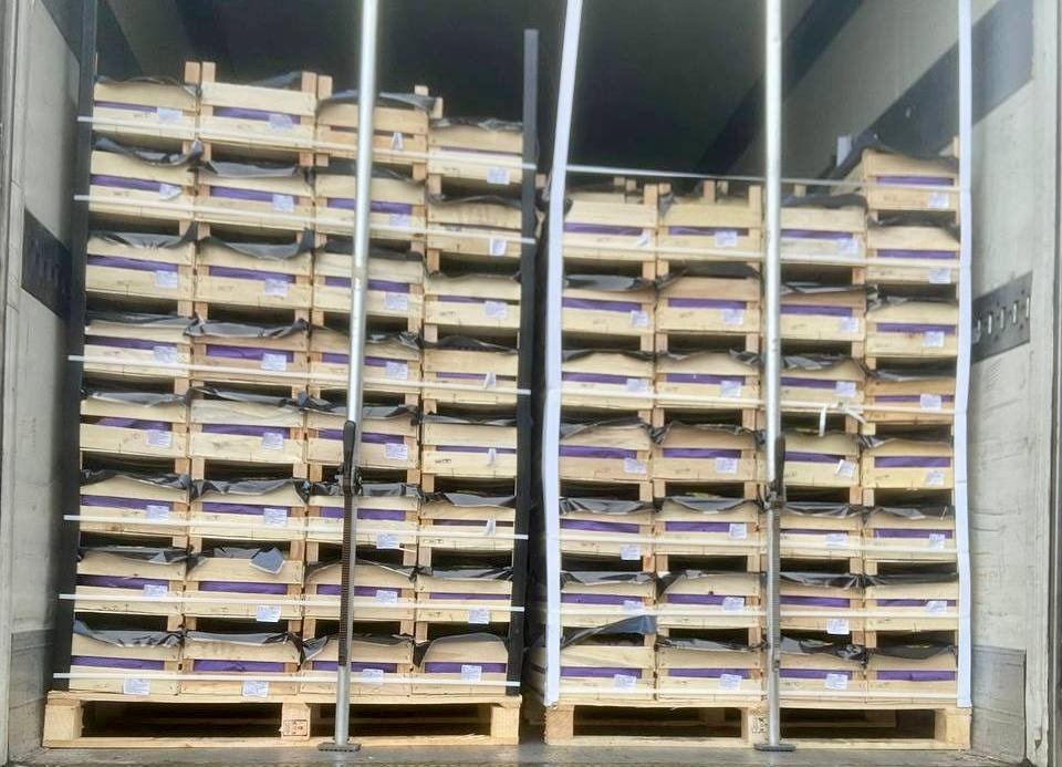 Более 20 тонн польских контрабандных груш уничтожили в Псковской области