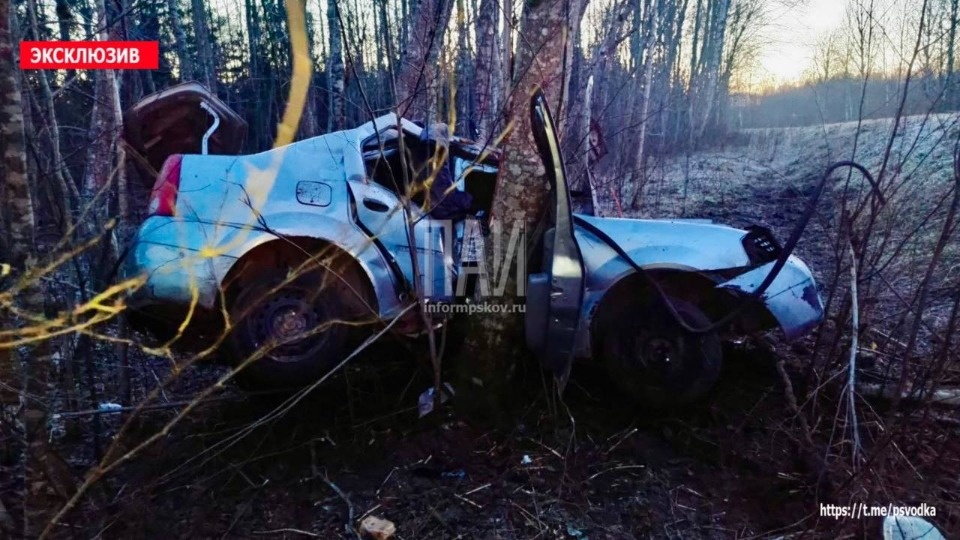 Пьяный водитель и пассажир пострадали в аварии в Порховском районе Пьяный водитель и пассажир пострадали в аварии в Порховском районе