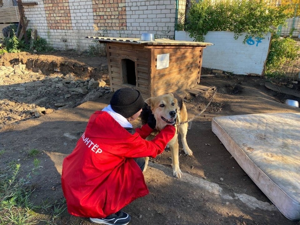 Глава Пскова поздравил причастных с Днем добровольца 