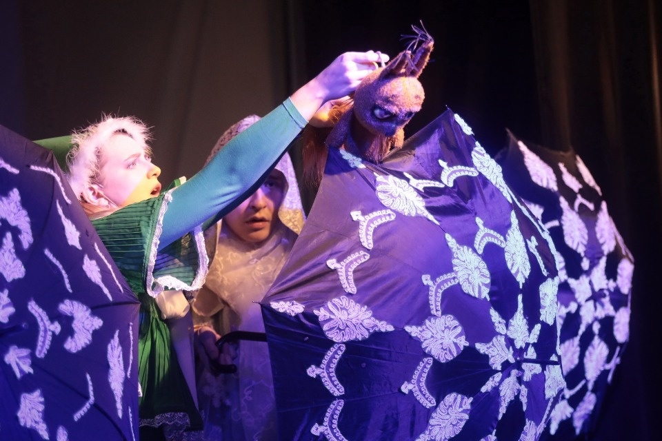 Куклы на гастролях 