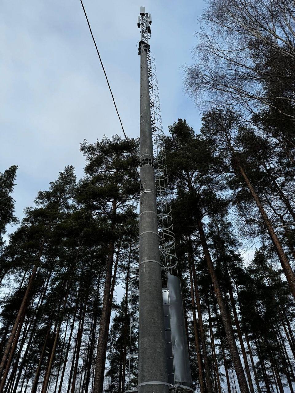 Четыре сотовых вышки установили в Псковской области в рамках федеральной программы