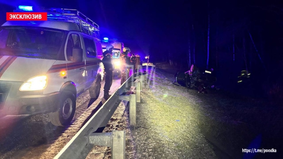 В Псковском районе мужчина совершил смертельное ДТП и скрылся с места В Псковском районе мужчина совершил смертельное ДТП и скрылся с места