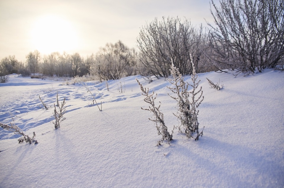 До -11 градусов ожидается ночью 18 декабря в Псковской области До -11 градусов ожидается ночью 18 декабря в Псковской области