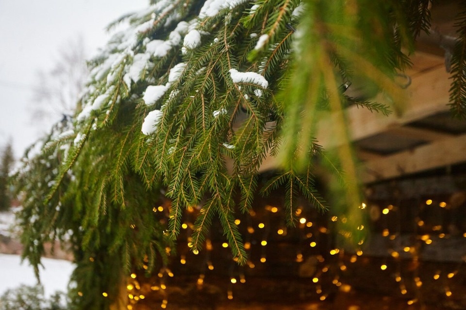 До +5 градусов прогреется воздух в Псковской области 19 декабря До +5 градусов прогреется воздух в Псковской области 19 декабря