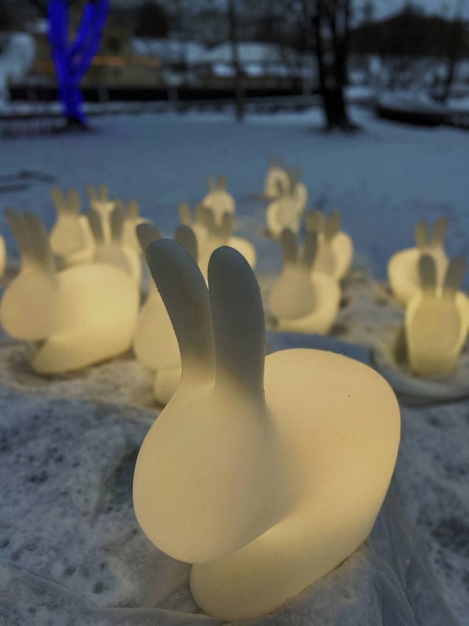 Новогодний парк световых фигур «Сказочный лес» начинает работу в Пскове с 20 декабря