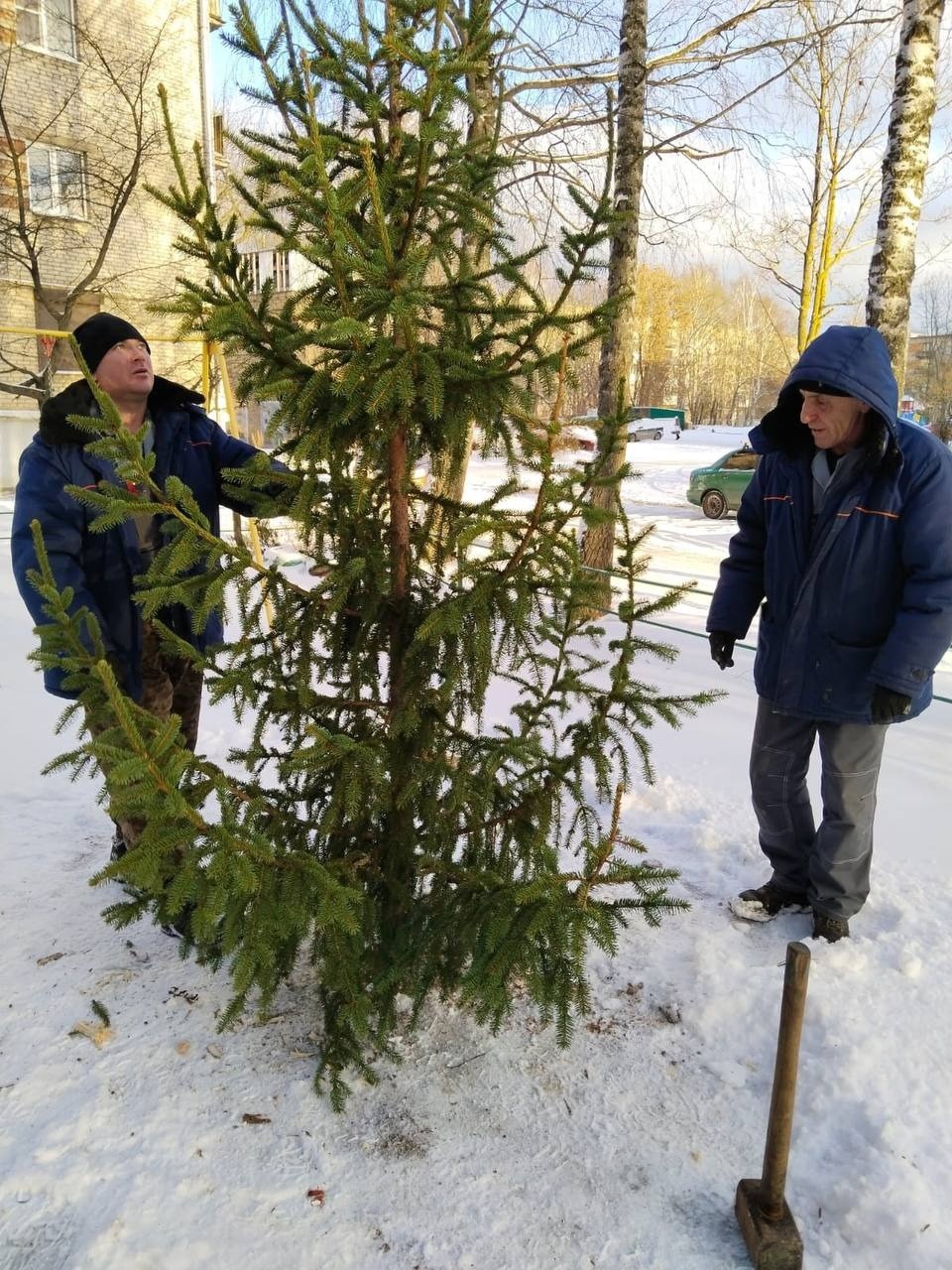 Более 100 новогодних ёлок установят во дворах в Великих Луках