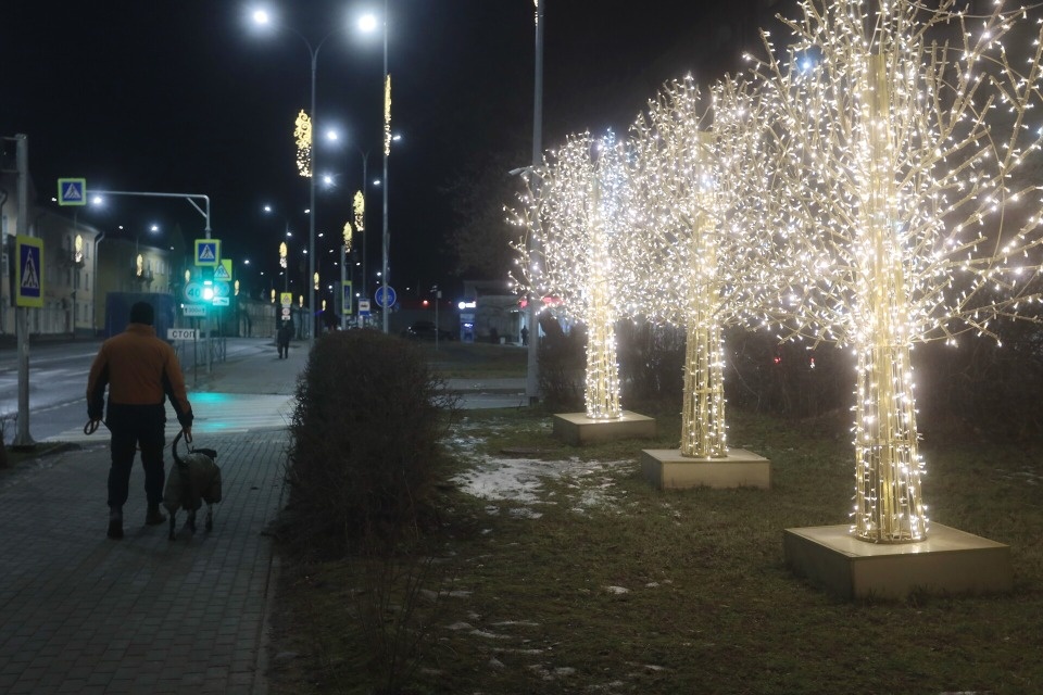 Зимняя сказка