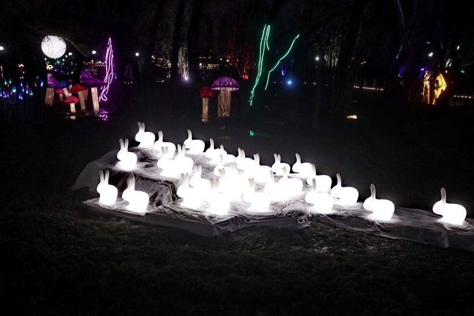 Зимняя сказка