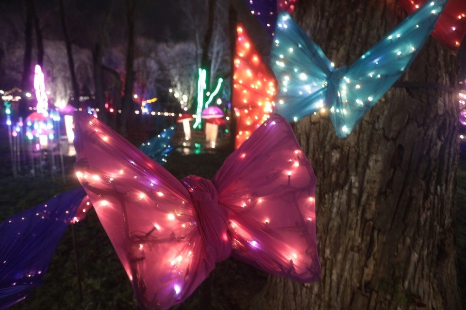 Зимняя сказка