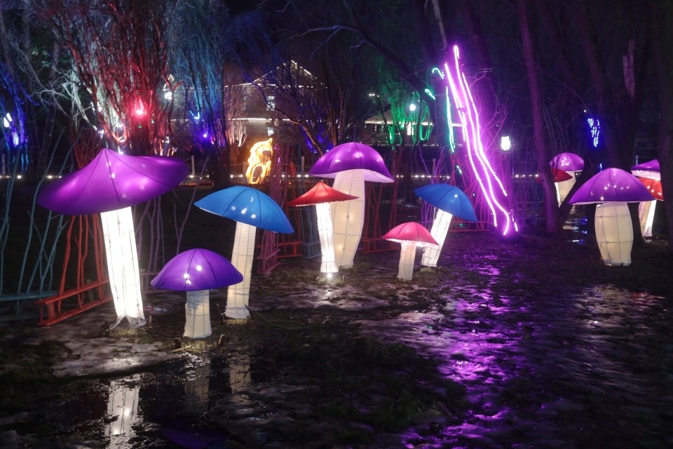 Зимняя сказка