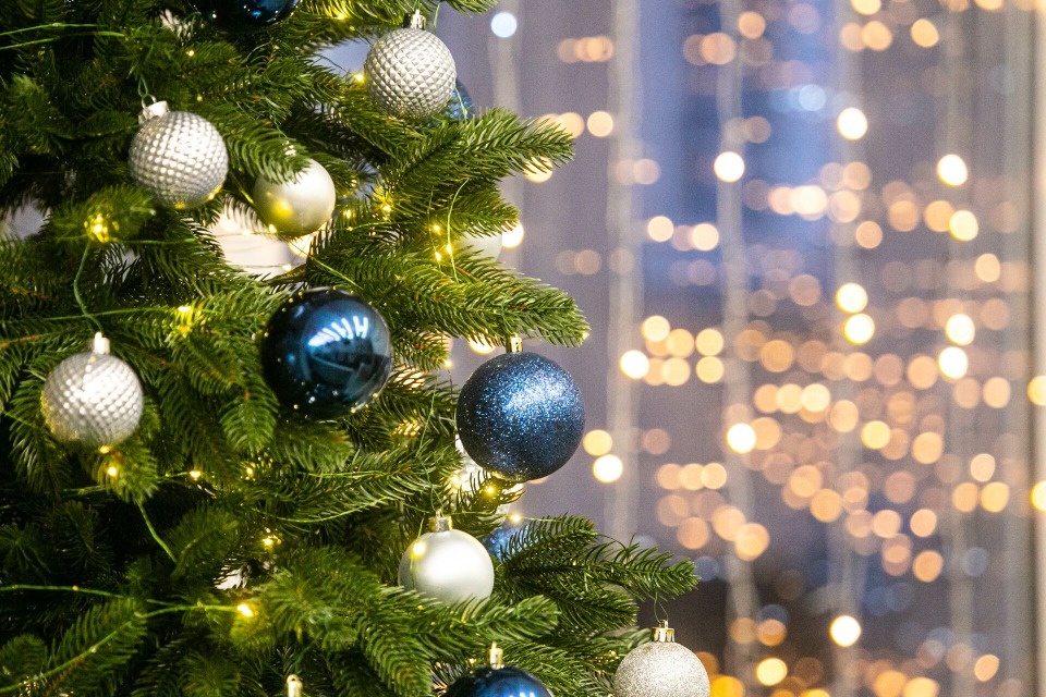 Новую ель из коллекции «Ёлки России» презентуют в Псковской филармонии Новую ель из коллекции «Ёлки России» презентуют в Псковской филармонии