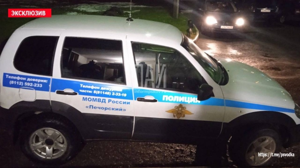 В Печорах женщина ударила ножом знакомую в ходе пьяной ссоры В Печорах женщина ударила ножом знакомую в ходе пьяной ссоры