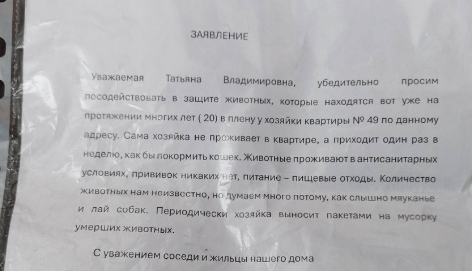 Великолучанка держит в антисанитарии и плену кошек и собак Великолучанка держит в антисанитарии и плену кошек и собак