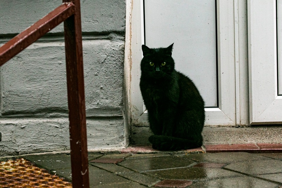Небольшой дождь пройдет по Псковской области 28 декабря Небольшой дождь пройдет по Псковской области 28 декабря