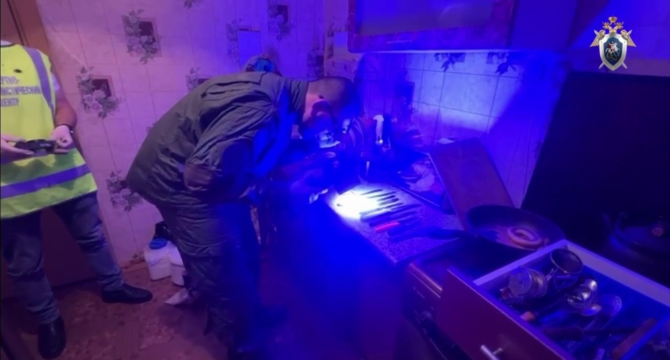 Пскович зарезал знакомую во время застолья в канун Нового года Пскович зарезал знакомую во время застолья в канун Нового года