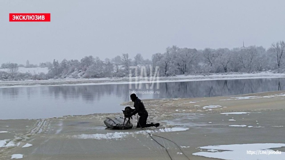 В Псковском районе спасатели вытащили из реки тонущую собаку