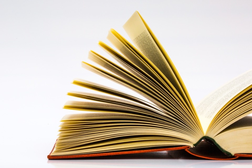 30% псковичей читают книги в дороге на работу – опрос