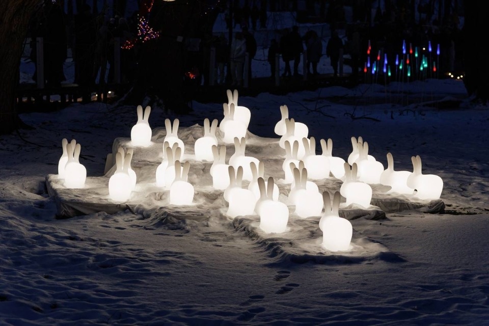 80 тысяч человек посетили парк световых фигур «Сказочный лес» в Пскове