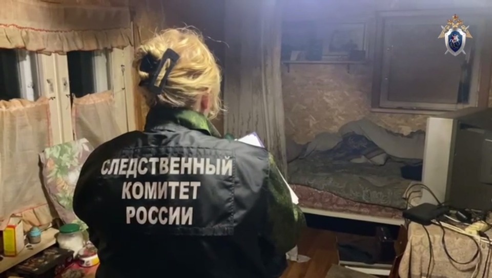 В Палкинском районе мужчина избил гостя до смерти