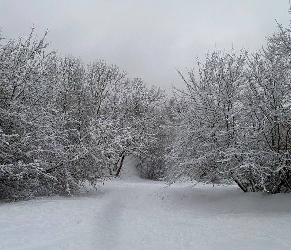 Непростые метеоусловия сохраняются в Псковской области Непростые метеоусловия сохраняются в Псковской области