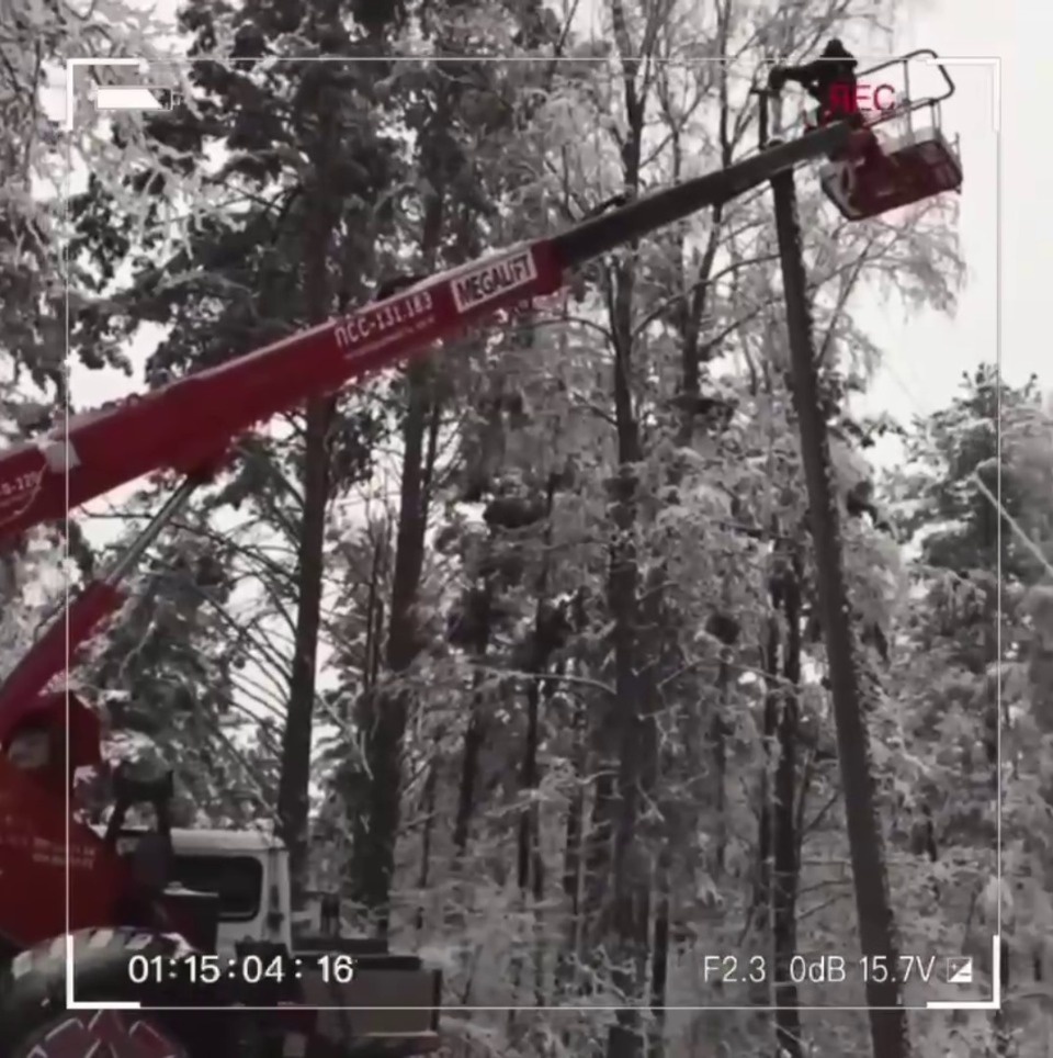 4,5 тысячи км ЛЭП восстановили в Псковской области после сильных снегопадов