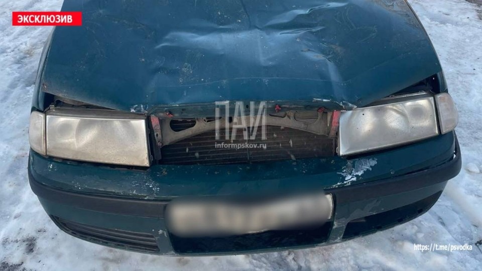 Трех пешеходов, двое из который погибли, сбил водитель в Гдове