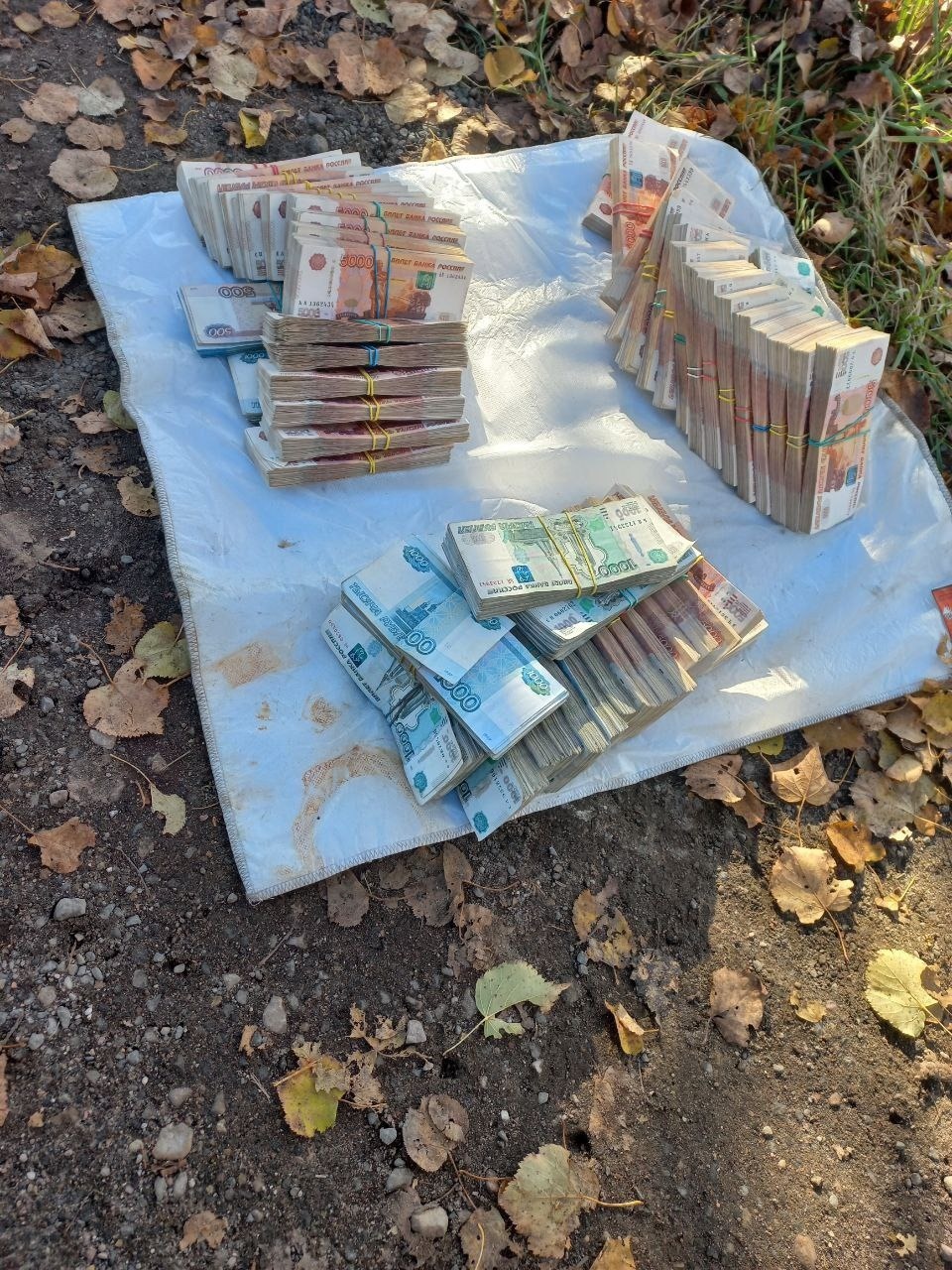 В Псковской области пресекли контрабанду сигарет стоимостью 56 миллионов рублей В Псковской области пресекли контрабанду сигарет стоимостью 56 миллионов рублей