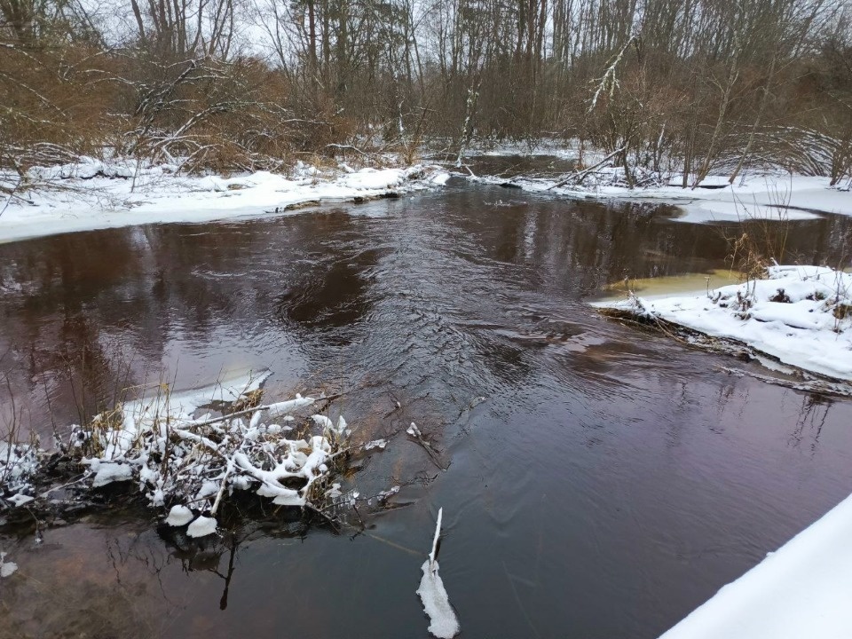 Разлившаяся Желча затопила дорогу к одной из гдовских деревень 