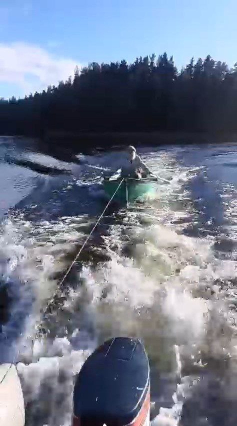 И на гармошке сыграть, и валенки свалять И на гармошке сыграть, и валенки свалять