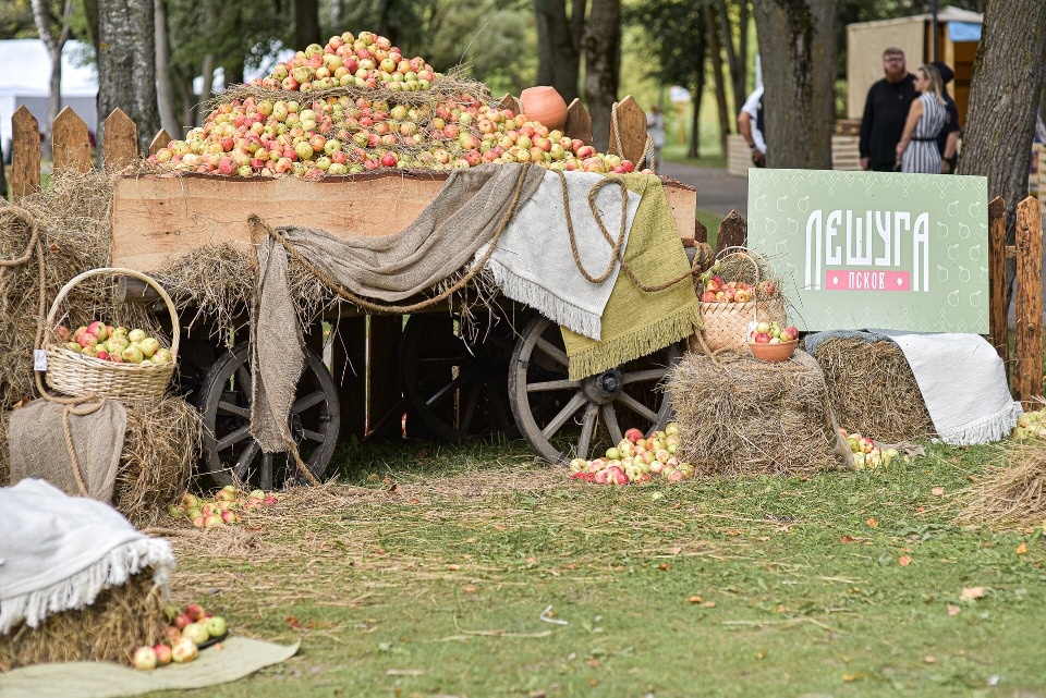 Опубликован событийный календарь Псковской области на 2025 год