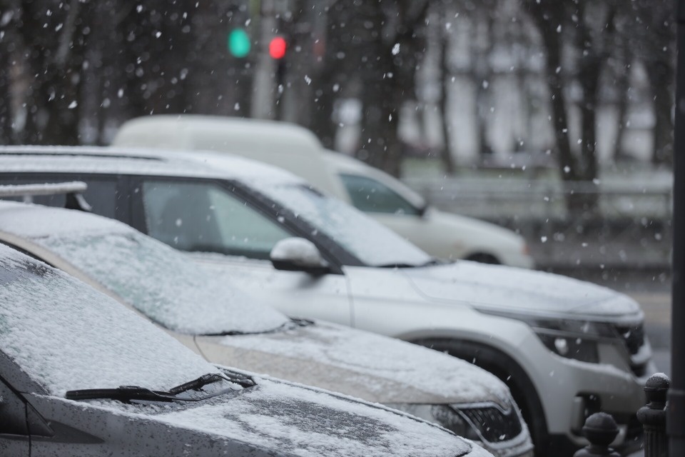 В начале февраля в Псковскую область вернется зима В начале февраля в Псковскую область вернется зима