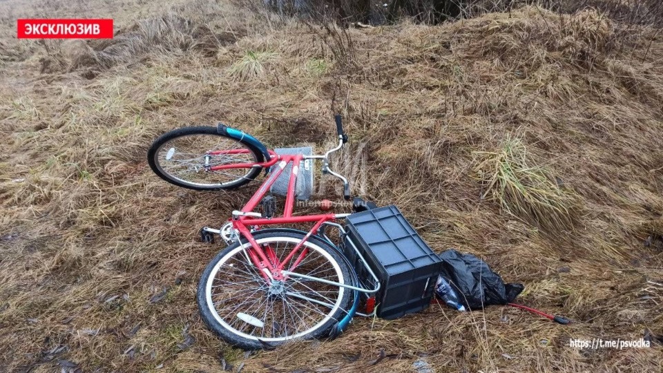 В канаве на выезде из Дно обнаружили тело женщины В канаве на выезде из Дно обнаружили тело женщины