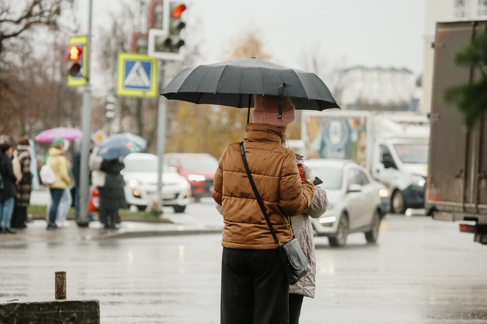 До +7 градусов и небольшой дождь прогнозируются в Псковской области 31 января