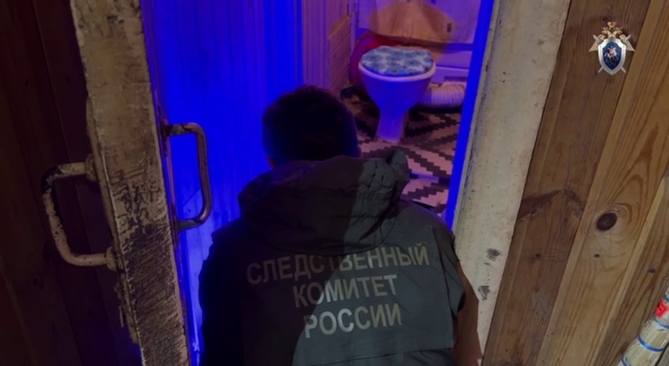 Жительница Палкино предстанет перед судом за убийство новорожденного Жительница Палкино предстанет перед судом за убийство новорожденного