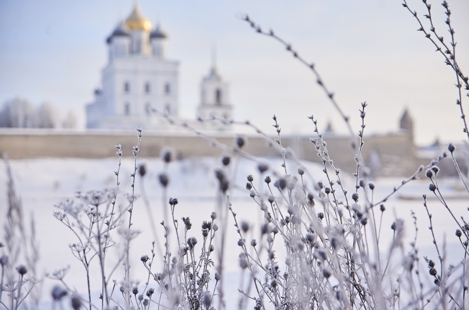До -10 градусов ожидается в Псковской области 5 февраля До -10 градусов ожидается в Псковской области 5 февраля