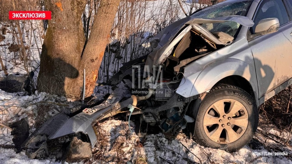 Двух человек госпитализировали после ДТП в Псковском районе