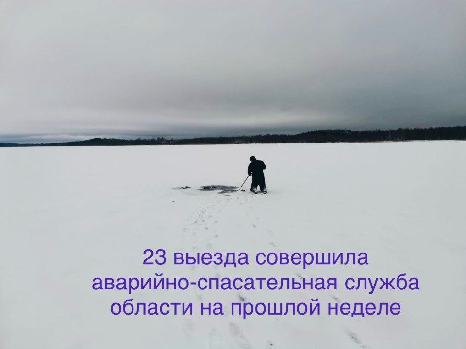 23 выезда совершила аварийно-спасательная служба Псковской области за неделю