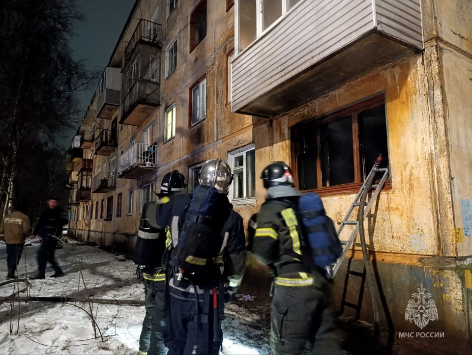 Кота и 15 человек спасли огнеборцы на пожаре в Псковской области