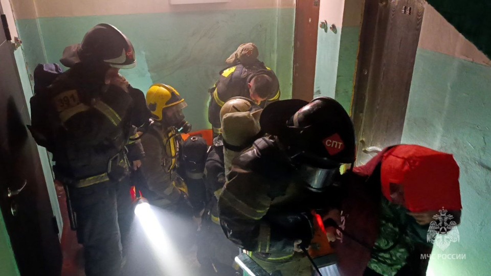 Кота и 15 человек спасли огнеборцы на пожаре в Псковской области