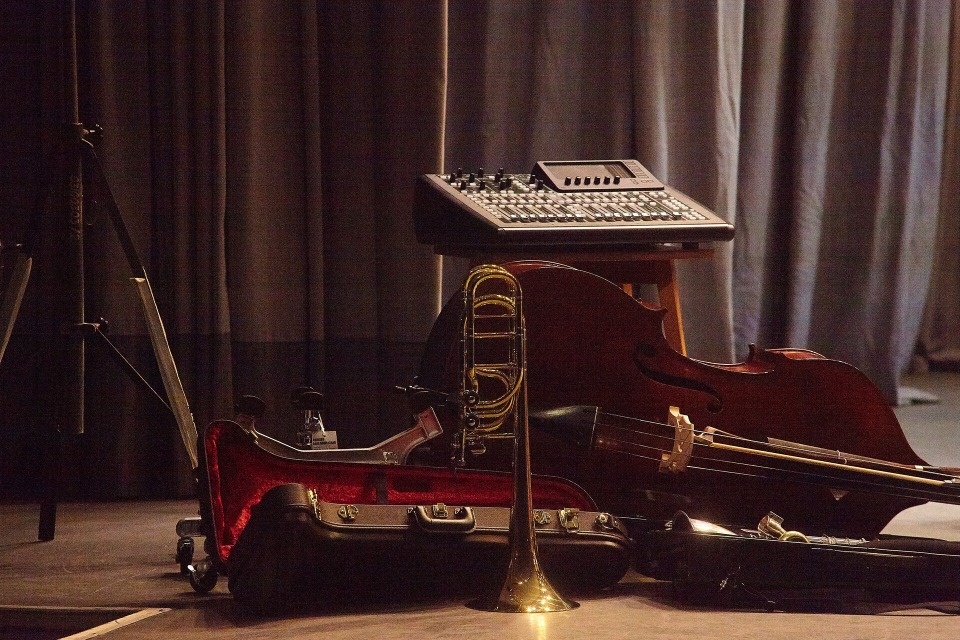 Музыкальные инструменты и оборудование получат три псковских детских школы искусств по нацпроекту