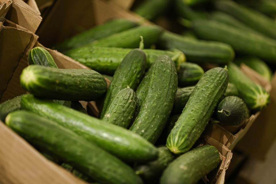 В Псковской области назвали самые подорожавшие продукты